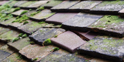 Marazion roof repair costs